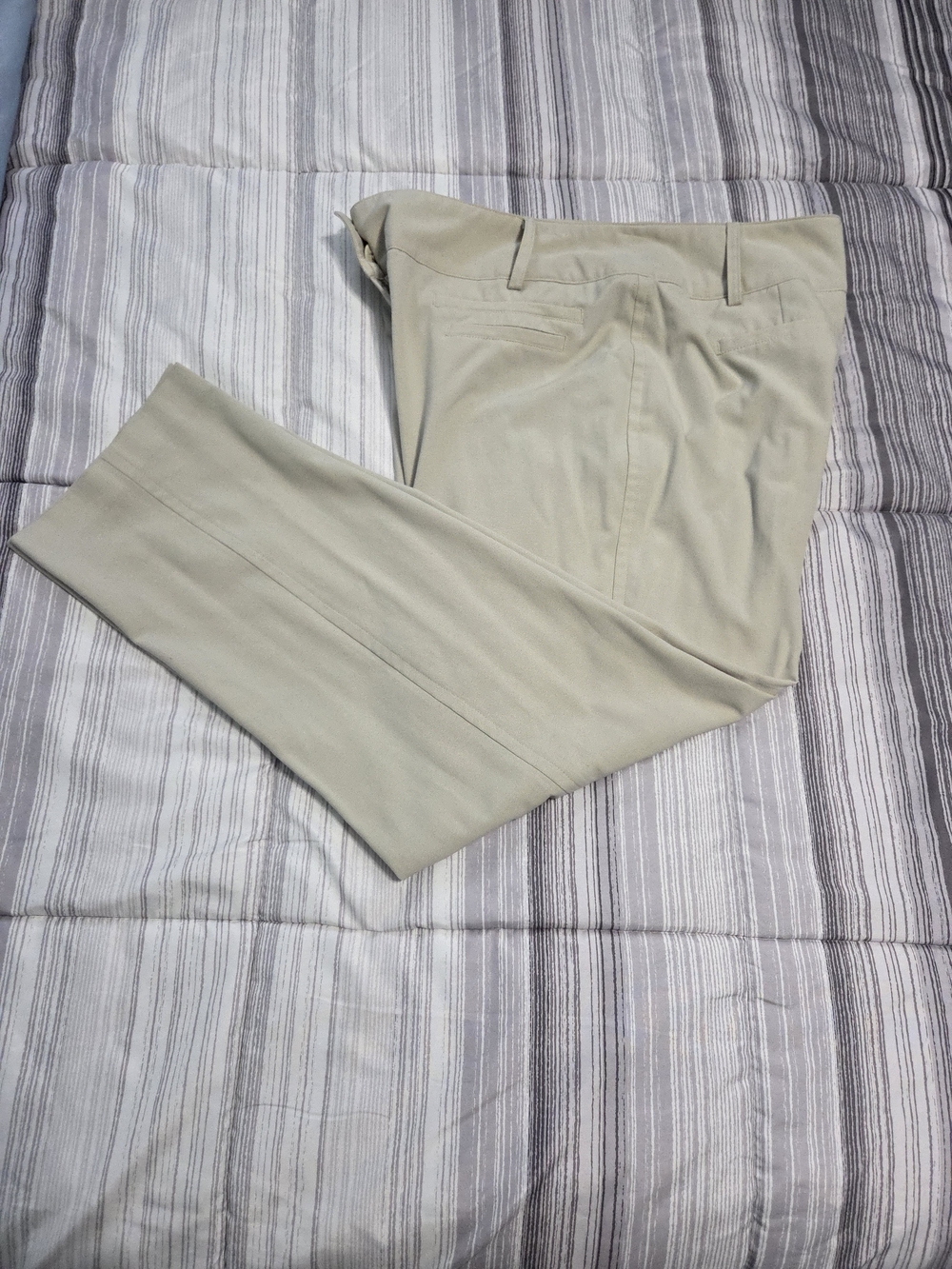 Cato Fashions Beige Khaki Straight Leg Career Dress Pants Size 16